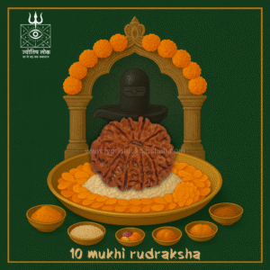 10 Mukhi Rudraksha