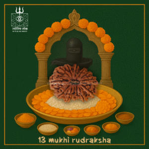 13 Mukhi Rudraksha