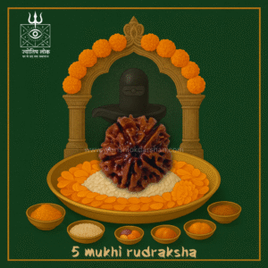 5 Mukhi Rudraksha