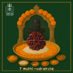 7 Mukhi Rudraksha