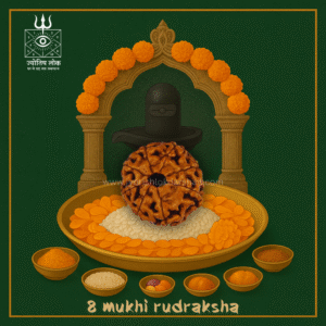 8 Mukhi Rudraksha