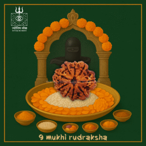 9 Mukhi Rudraksha